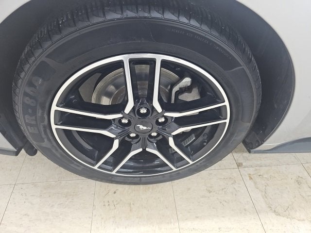 2022 Ford Mustang EcoBoost